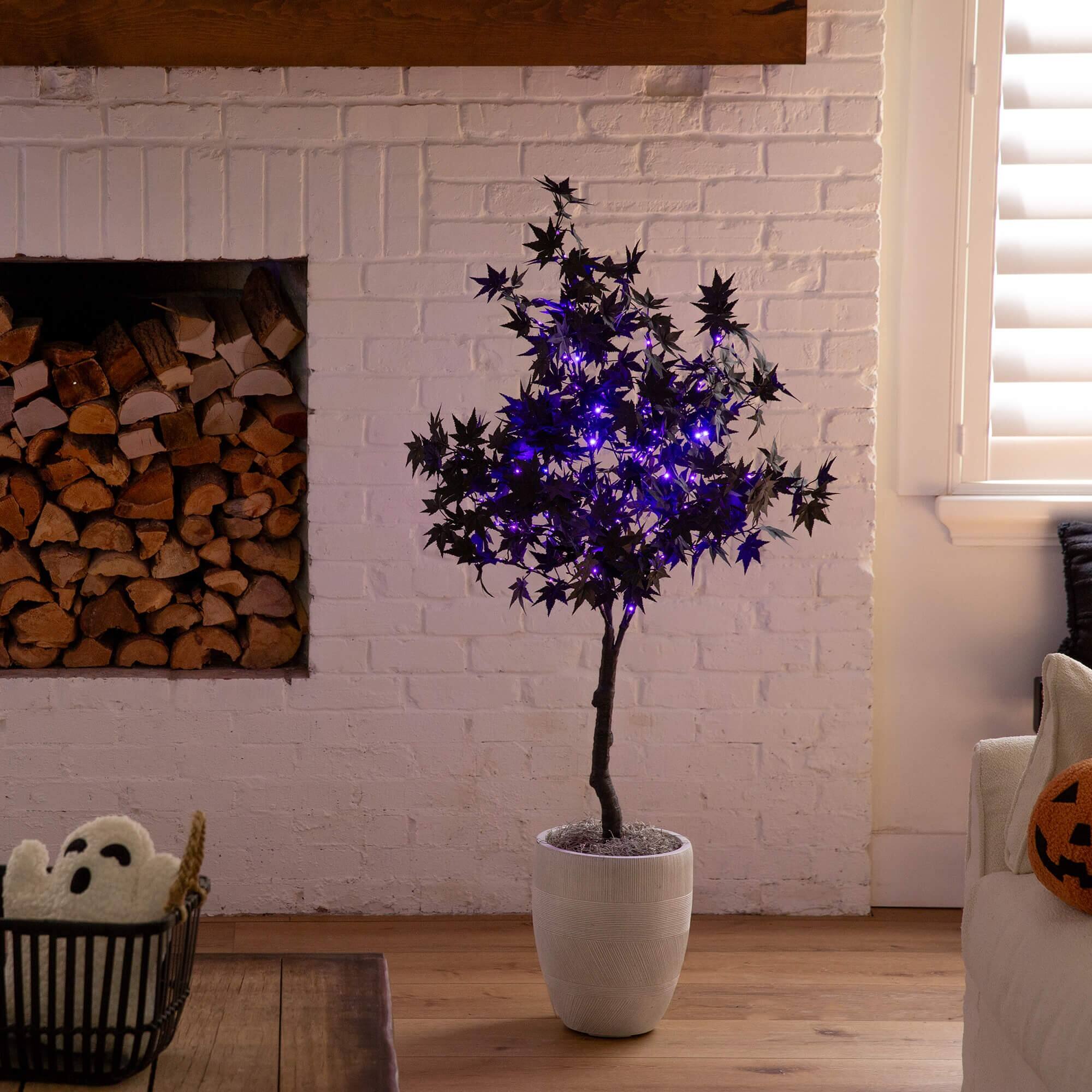 4ft. Pre-Lit Artificial Halloween Black Maple Tree with 180 Orange & Purple LED Lights